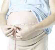 10 Tjedna trudnoće - fetalni veličina
