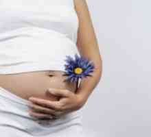 Poroda 16 tjedna trudnoće
