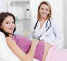 17 Tjedna trudnoće - fetalni kretanje