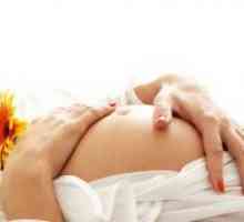 18 Tjedna trudnoće - fetalni veličina