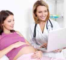 19 Tjedana trudnoće - bez perturbacija