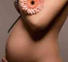 21 Tjedna trudnoće - što se događa?