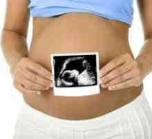 22 Tjedana trudnoće - fetalni pokreti