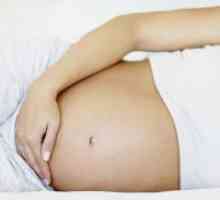 23 Tjedna trudnoće - što se događa?