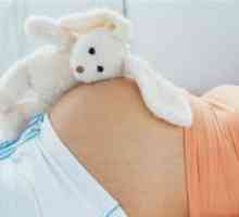27 Tjedna trudnoće - fetalni veličina