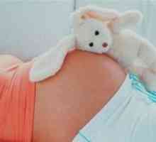 3. Tromjesečju trudnoće