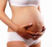 31 Tjedna trudnoće - što se događa?
