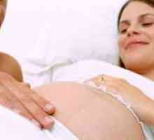 31 Tjedna trudnoće - fetalni kretanje