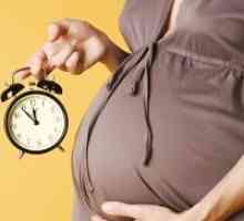 36 Tjedana trudna - navjestitelji rođenja