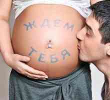 37. Tjedna trudnoće - fetalni razvoj