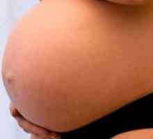 37. Tjedna trudnoće - drugi rođenja