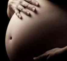 39 Tjedna trudnoće - želuca kameneet