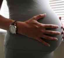 39 Tjedna trudnoće - aktivnih perturbacije