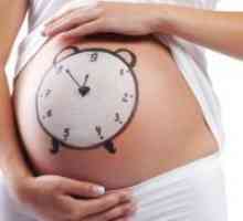 39 Tjedana trudna - navjestitelji rođenja