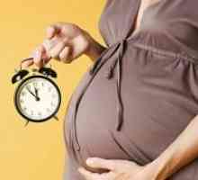 41 Tjedana trudnoće - bez prekursora