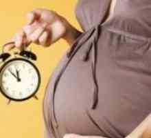 42 Tjedana trudnoće - kad se beba nije u žurbi