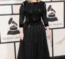 Adele na dodjeli Grammyja 2016