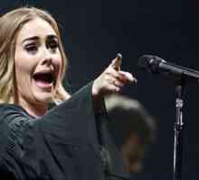 Adele opsuje 33 puta na koncertu u 90 minuta
