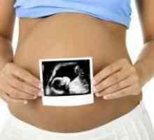 Adenomioza i trudnoća