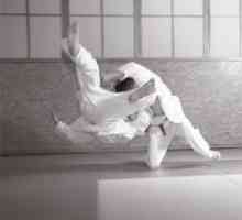 Aikido za početnike