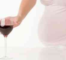 Pijenje u ranoj trudnoći: utjecaj na zdravlje djece
