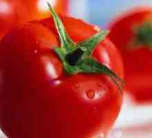 Alergičan na rajčice - Simptomi