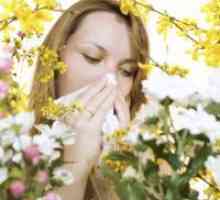 Pelud trava alergija