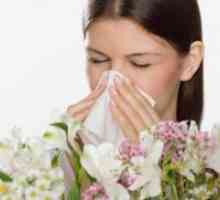 Alergije u krajem srpnja - početkom kolovoza