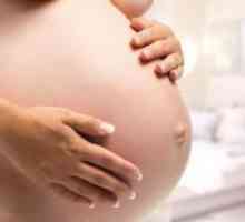 Testovi za vrijeme trudnoće
