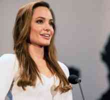 Angelina Jolie će se učiti na London School of Economics