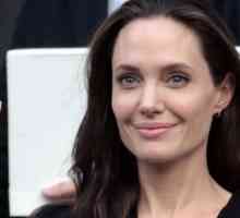 Angelina Jolie prodaje kuću u Francuskoj nastaviti političku karijeru u Londonu