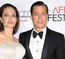 Angelina Jolie kaže da Brad Pitt ima izvanbračnu djecu