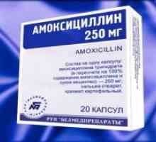 Antibiotik amoksicilin