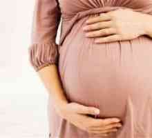 Antifosfolipidni sindrom i trudnoća