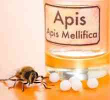 Apis - homeopatija