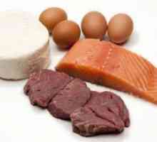 Proteinski proizvodi