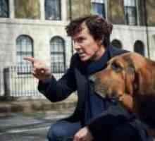 Benedict Cumberbatch više ne želi igrati u TV seriji „Sherlock”