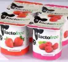 Laktoze proizvodi