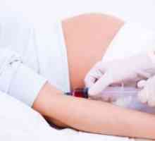 Biokemijska analiza krvi za vrijeme trudnoće