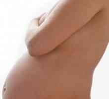Bol u prsima u trudnoći