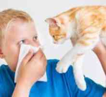 Astma kod djece - simptomi i tretman