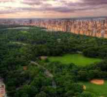 Central Park u New Yorku