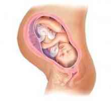 Cervikalnog kanala za vrijeme trudnoće