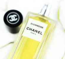 Chanel sycomore