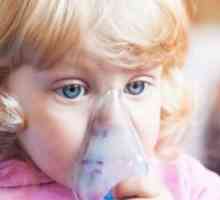 Nego liječiti lajanje kašalj u djeteta?