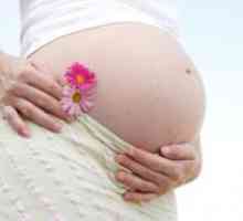 Kako izliječiti gljivičnu infekciju u trudnoći?