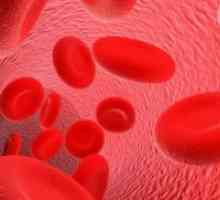 Što je opasno visoka hemoglobina?