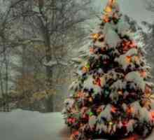 Kako ukrasiti božićno drvce na ulici sa svojim rukama?