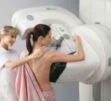 Što je bolje - ultrazvuk ili mamografija?