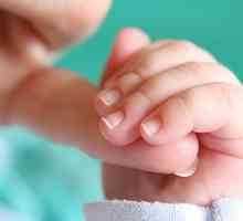 Što trebate znati o novorođenim refleksa